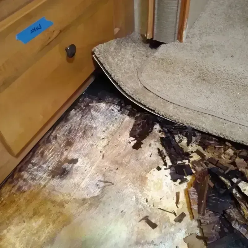 Best Wood Floor Water Damage Service in Morrisville, PA